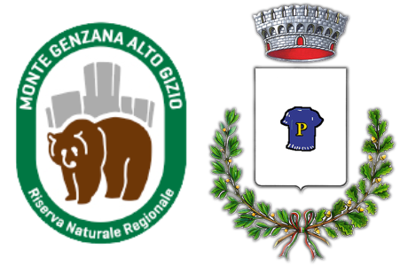 Logo Comune